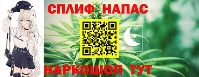 скорость Дубна